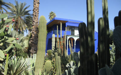 Majorelle Garden & YSL Museum