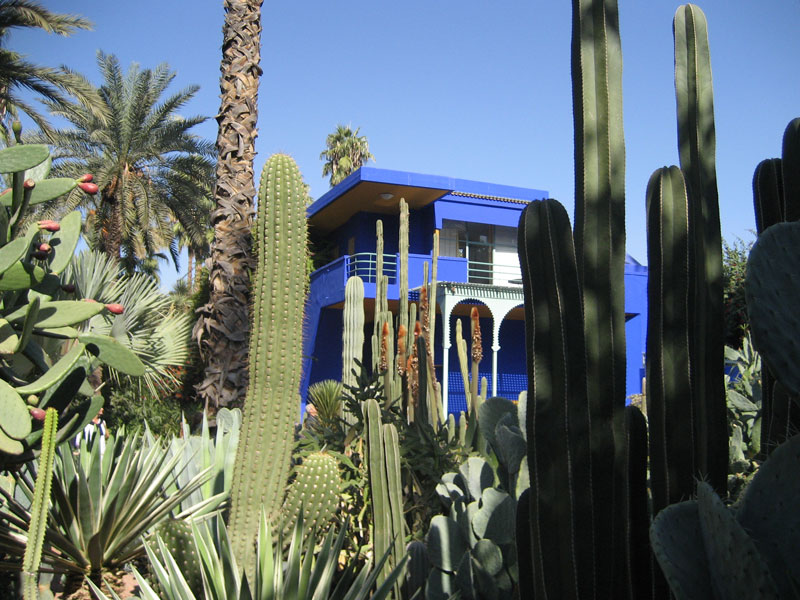 Majorelle Garden & YSL Museum